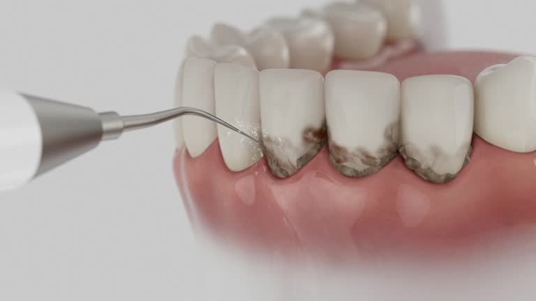 Reliable Dental contractor in Bingham Farms, MI by Dentist Open Now